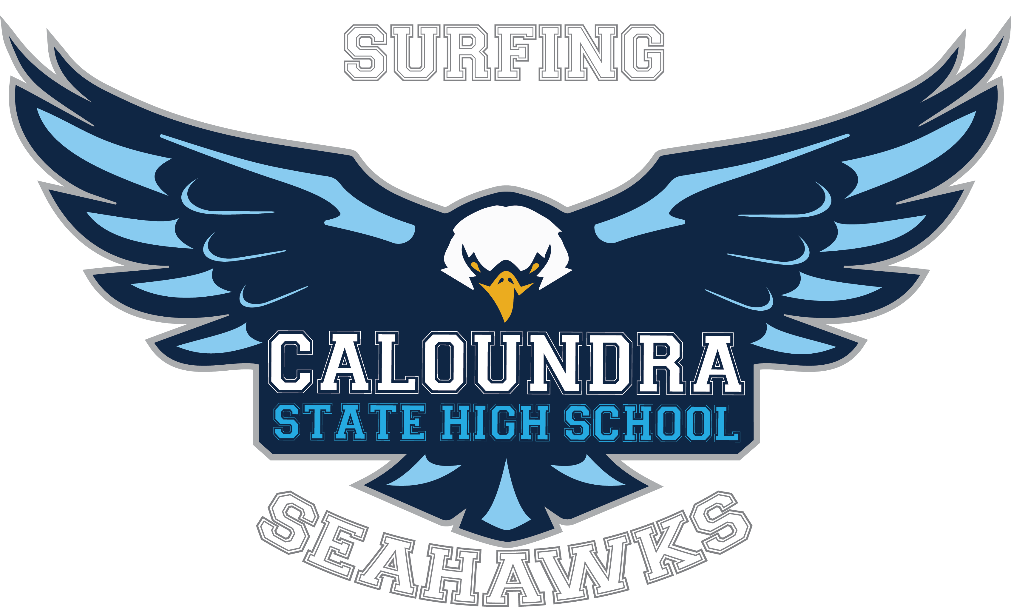 SEAHAWKS SURFING.png
